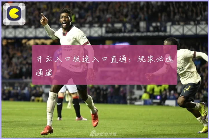 开云入口极速入口直通，玩家必选通道