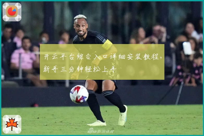 开云平台综合入口详细安装教程，新手三分钟轻松上手