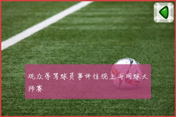 观众辱骂球员事件惊现上海网球大师赛